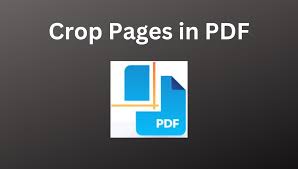 How to crop a PDF file: WPS Office complete tutorial